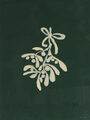 Image Not Available